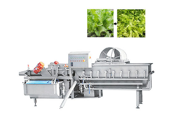 फल सलाद सब्जी के लिए 1000 किग्रा / एच हरी पत्ती कटर सलाद काटने की मशीन