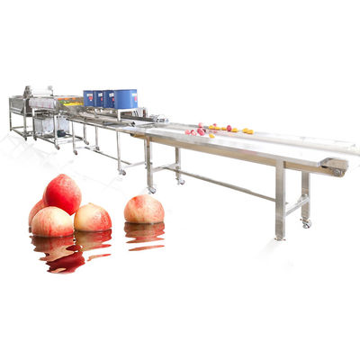 स्टेनलेस स्टील फल सब्जी वॉशिंग मशीन लाइन सलाद प्याज सेब पीच