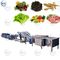 SUS304 इलेक्ट्रिक सब्जी वॉशर सब्जी एयर बबल वॉशिंग मशीन सब्जियां वॉशिंग मशीन