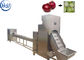 खाद्य ग्रेड प्याज प्रसंस्करण उपकरण प्याज पाउडर बनाने की मशीन 12 - 85kw