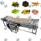 स्वचालित खाद्य प्रसंस्करण मशीनें फल और सब्जी धोने के उपकरण