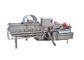 SUS304 1000KG / एच भंवर पत्तेदार सब्जी धोने की मशीन