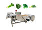 फल 380V सब्जी धोने की मशीन कन्वेयर के साथ
