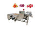 पोर्टेबल 500 किग्रा / घंटा सब्जी और फल धोने की मशीन