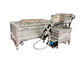 एयर बबल ओजोन 500 किग्रा / एच सब्जी फल धोने की मशीन