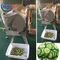 खानपान उद्यम हरी पत्तेदार सब्जी कटर, आलू काटने की मशीन