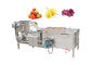 SUS304 बबल वॉशिंग मशीन सब्जी और फल 500 किग्रा / एच खाद्य सफाई मशीन