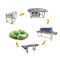 SS304 सब्जी और फल वॉशिंग मशीन आम प्रसंस्करण लाइन