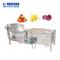 स्वचालित अल्ट्रासोनिक फल सब्जी वॉशिंग मशीन और ब्लैंचिंग मशीन
