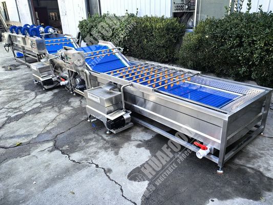 पंख और 220 वी वोल्टेज वाली फल और सब्जी धोने की मशीन